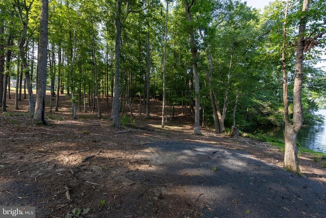 13250 Harbor Dr, Orange, VA 22960 - photo 45