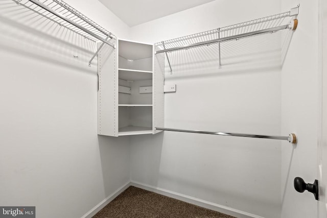 13250 Harbor Dr, Orange, VA 22960 - photo 17