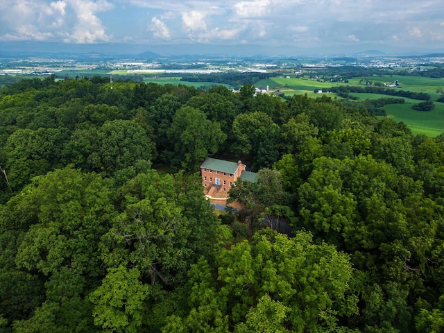 6501 Sunday Dr, Mount Crawford, VA 22841 - photo 65