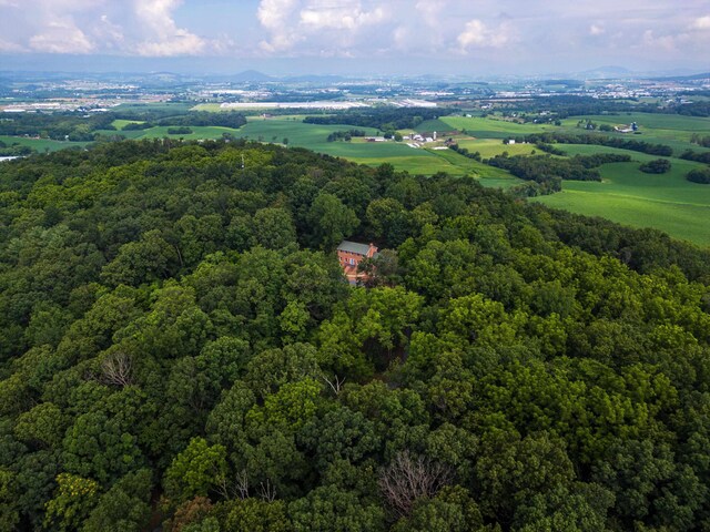 6501 Sunday Dr, Mount Crawford, VA 22841 - photo 68
