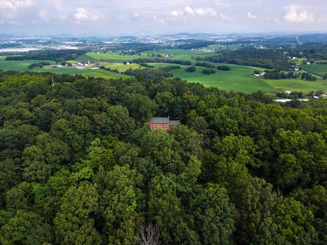 6501 Sunday Dr, Mount Crawford, VA 22841 - photo 66