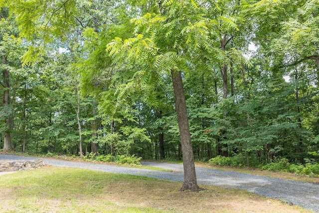 6501 Sunday Dr, Mount Crawford, VA 22841 - photo 48