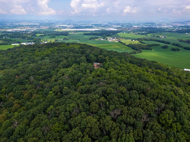 6501 Sunday Dr, Mount Crawford, VA 22841 - photo 69