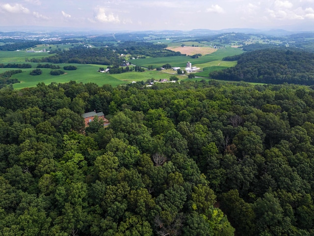 6501 Sunday Dr, Mount Crawford, VA 22841 - photo 67