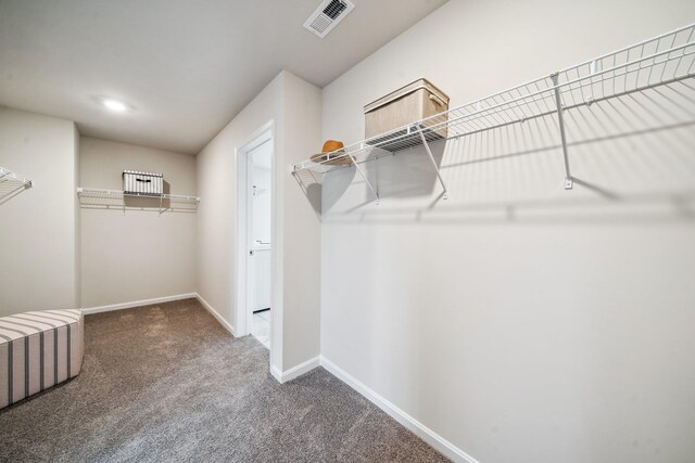 walk in closet with carpet floors