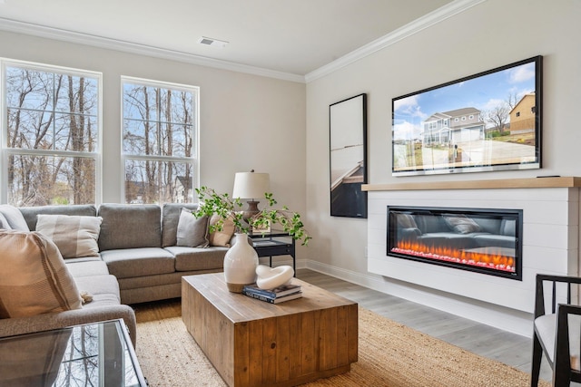 living room featuring wood finished floors, crown molding, a glass covered fireplace, and baseboards