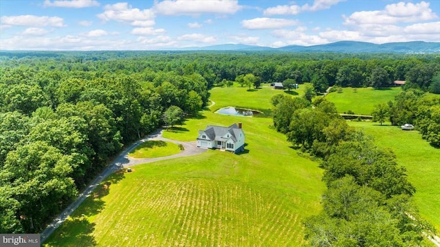 16150 Madison Run Rd, Gordonsville, VA 22942 - photo 33