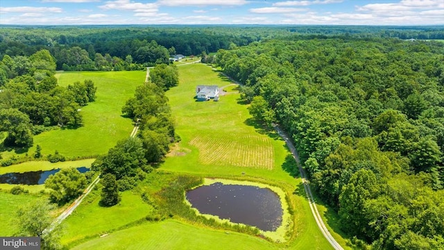 16150 Madison Run Rd, Gordonsville, VA 22942 - photo 41
