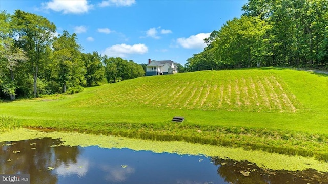 16150 Madison Run Rd, Gordonsville, VA 22942 - photo 42