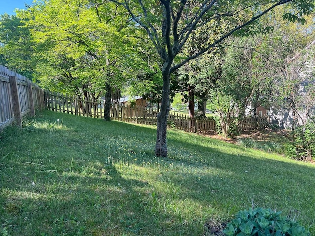 view of yard