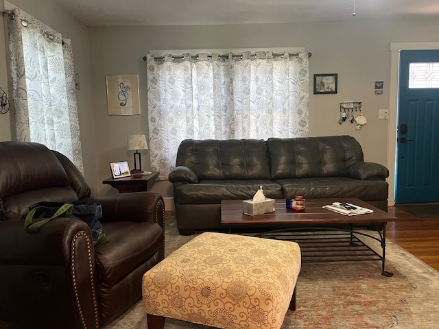 living area with wood finished floors