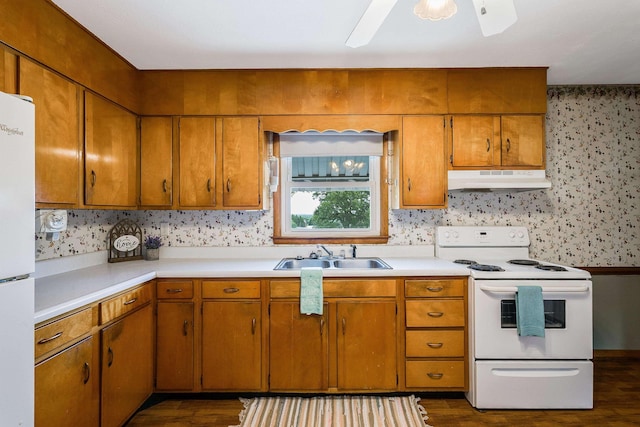 390 Frontier Dr, Staunton, VA 24401 - kitchen with white appliances, a sink, under cabinet range hood, dark wood-style flooring, and wallpapered walls