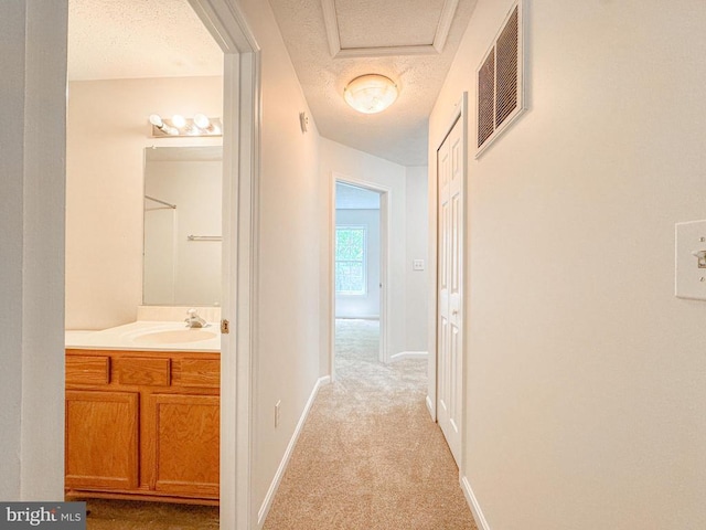4110 Englandtown Rd, Fredericksburg, VA 22408 - hall featuring a sink, a textured ceiling, light carpet, and baseboards