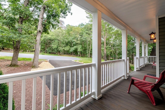 268 Red Fox Ct, Mcgaheysville, VA 22840 - photo 65