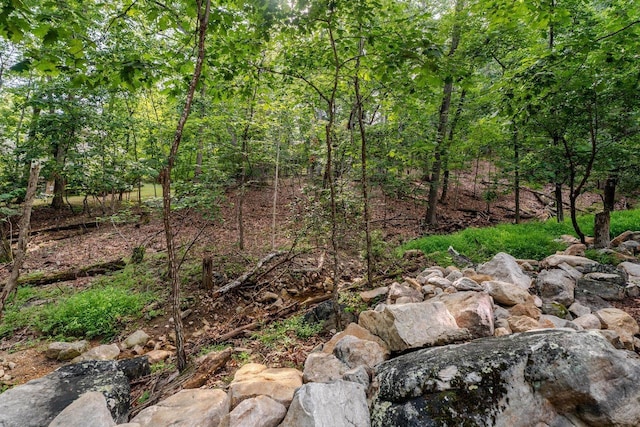 268 Red Fox Ct, Mcgaheysville, VA 22840 - photo 72
