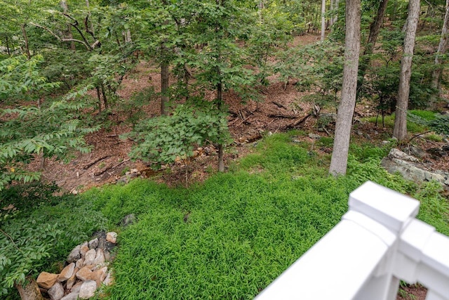 268 Red Fox Ct, Mcgaheysville, VA 22840 - photo 27