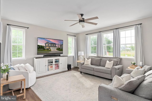 living room featuring plenty of natural light, wood finished floors, and a ceiling fan