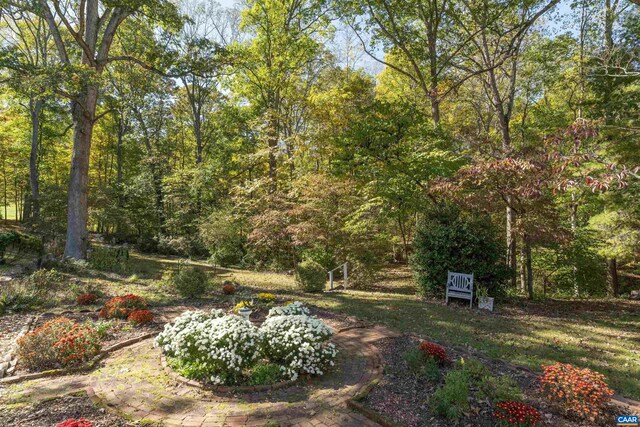 4035 Edge Valley Rd, North Garden, VA 22959 - photo 50