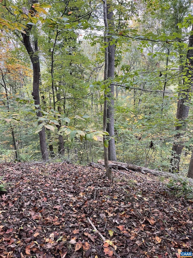 14 Mechunk Ter, Palmyra, VA 22963 - photo 3