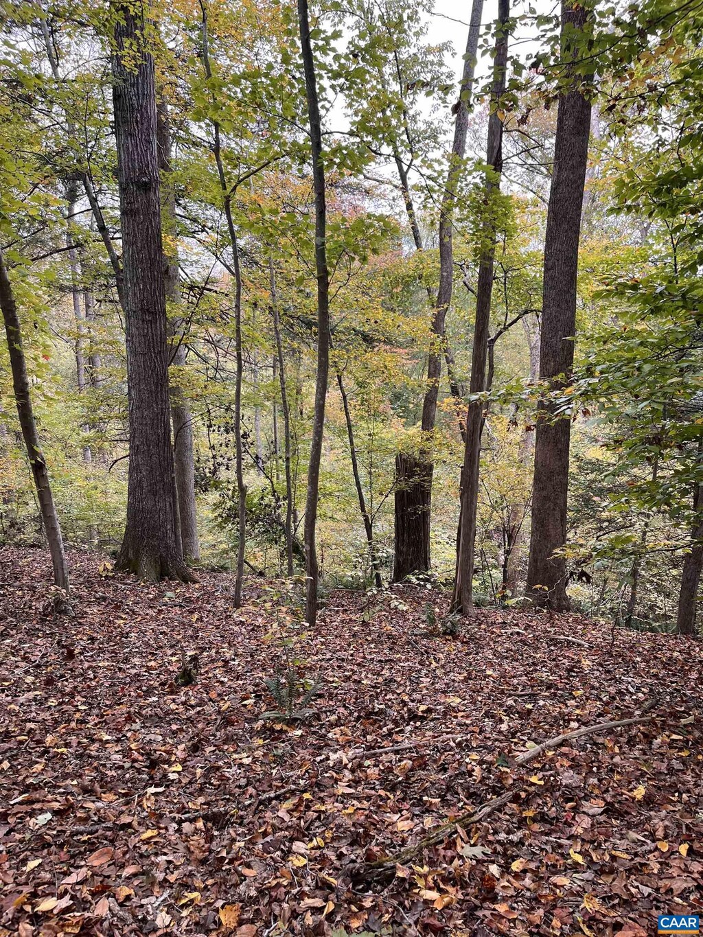 14 Mechunk Ter, Palmyra, VA 22963 - photo 2