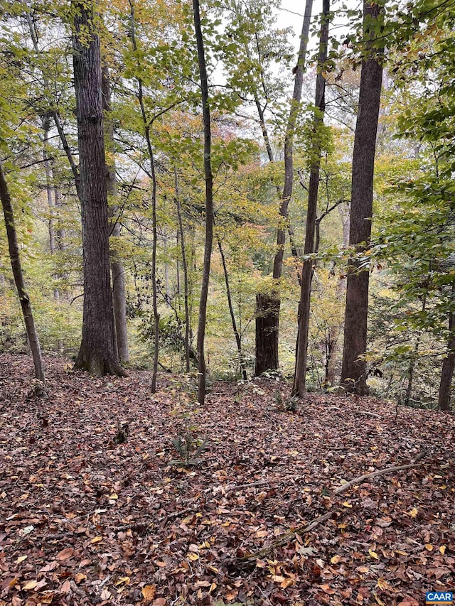 14 Mechunk Ter, Palmyra, VA 22963 - photo 2