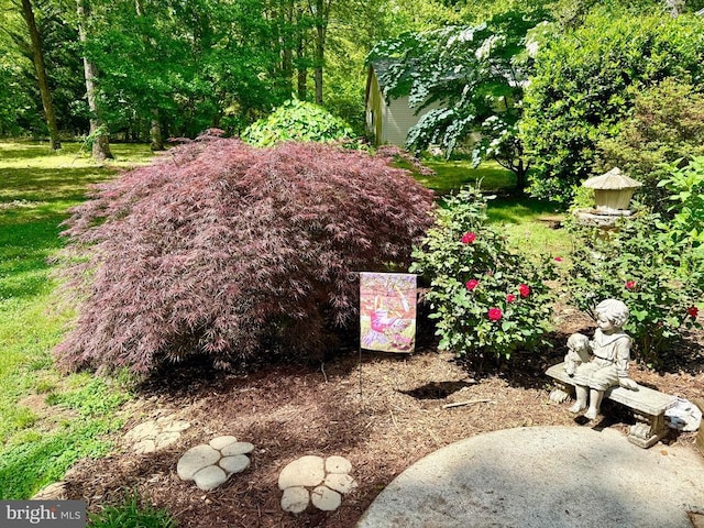 778 Overton Dr, Mineral, VA 23117 - view of yard