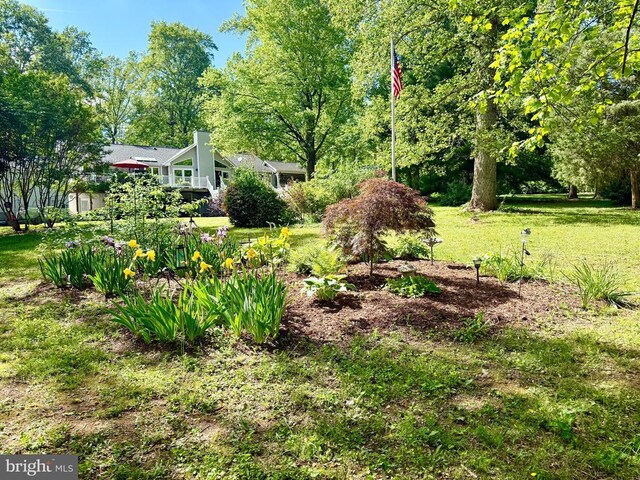 778 Overton Dr, Mineral, VA 23117 - view of green lawn