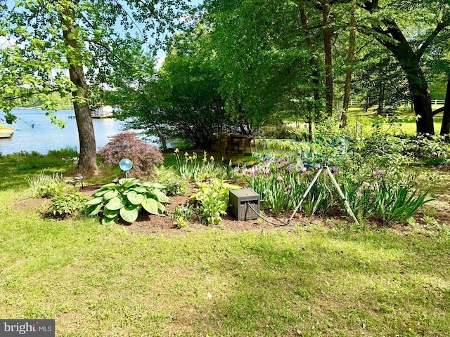 778 Overton Dr, Mineral, VA 23117 - view of grassy yard with a water view