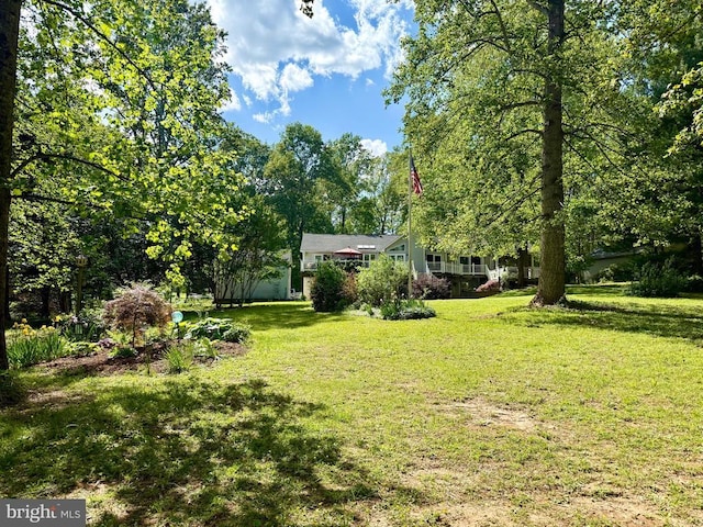 778 Overton Dr, Mineral, VA 23117 - view of grassy yard