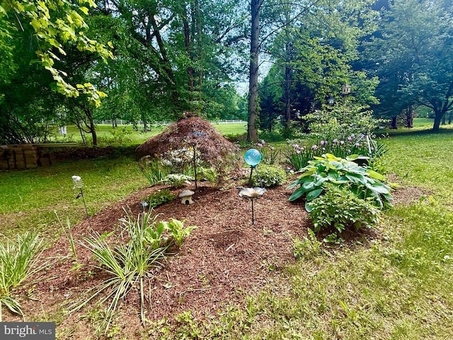 778 Overton Dr, Mineral, VA 23117 - view of grassy yard