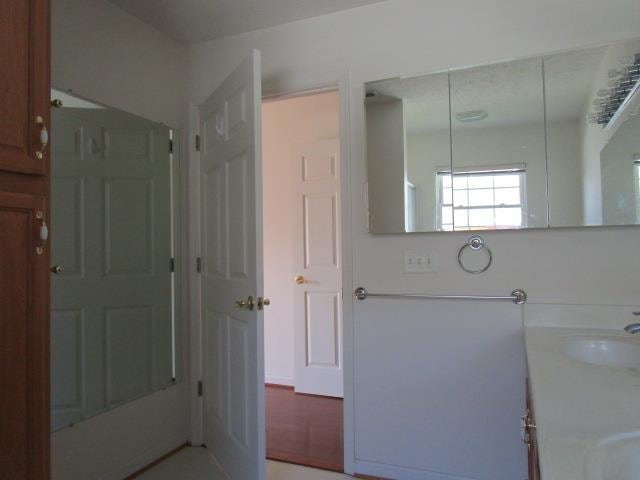 384 Hickory Grove Cir, Harrisonburg, VA 22801 - bathroom with double vanity