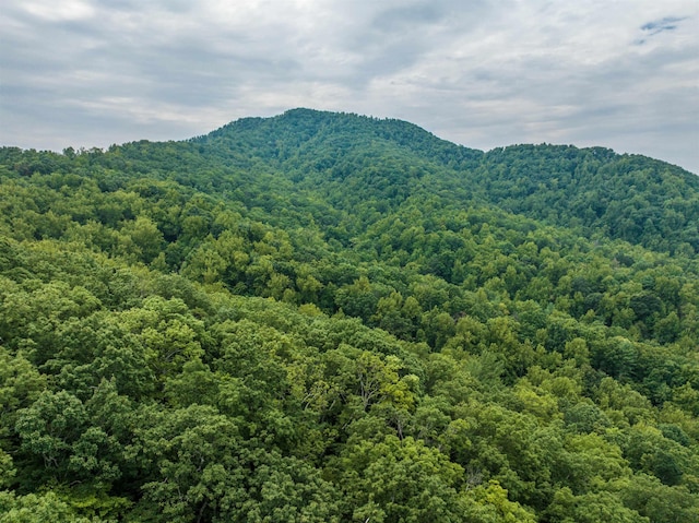 0 Pilot Mountain Holw, Faber, VA 22938