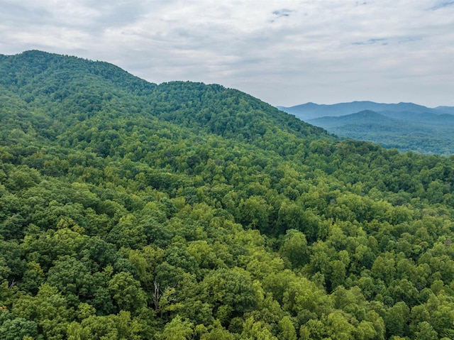 0 Pilot Mountain Holw, Faber, VA 22938