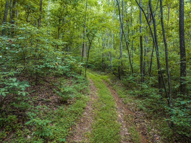0 Pilot Mountain Holw, Faber, VA 22938
