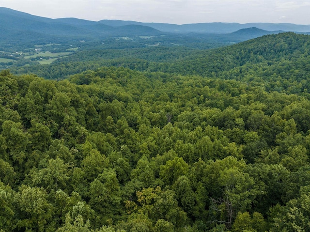 0 Pilot Mountain Holw, Faber, VA 22938
