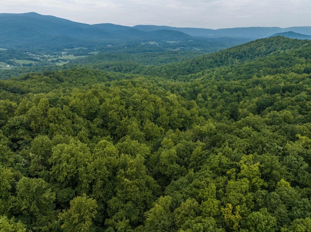 0 Pilot Mountain Holw, Faber, VA 22938