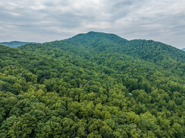 0 Pilot Mountain Holw, Faber, VA 22938