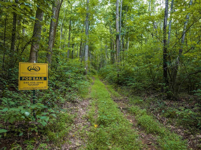 0 Pilot Mountain Holw, Faber, VA 22938