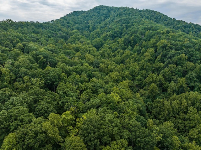 0 Pilot Mountain Holw, Faber, VA 22938