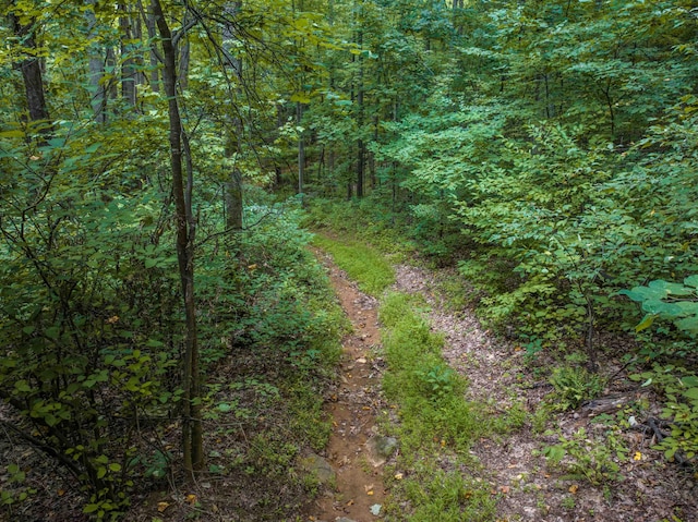 0 Pilot Mountain Holw, Faber, VA 22938