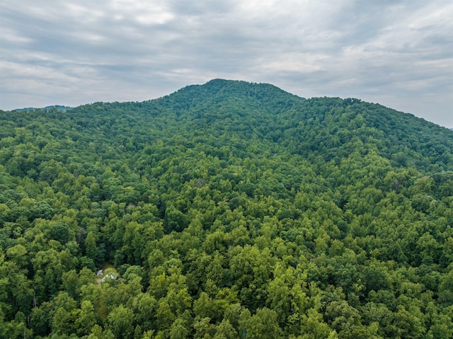 0 Pilot Mountain Holw, Faber, VA 22938