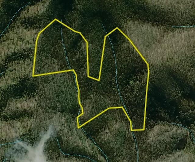 0 Pilot Mountain Holw, Faber, VA 22938