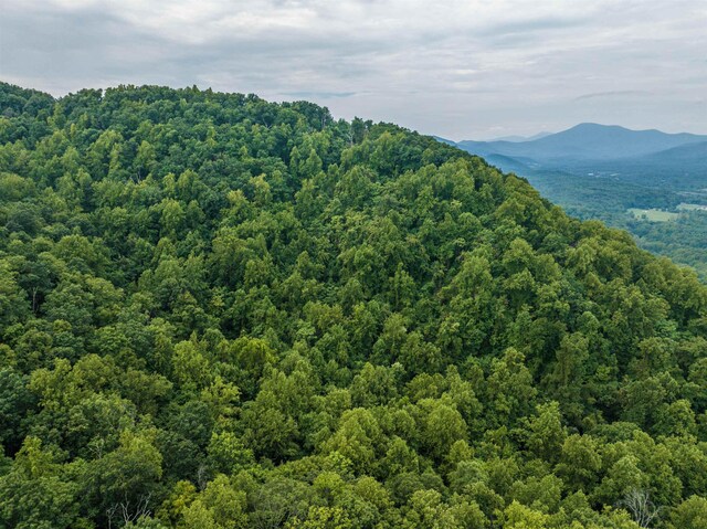 0 Pilot Mountain Holw, Faber, VA 22938