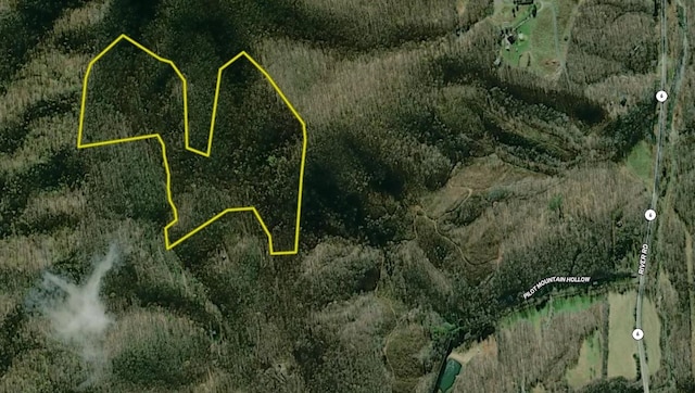 0 Pilot Mountain Holw, Faber, VA 22938
