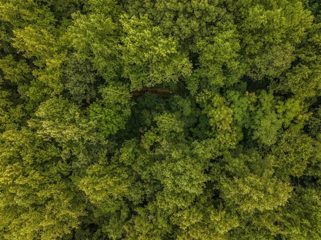 0 Pilot Mountain Holw, Faber, VA 22938