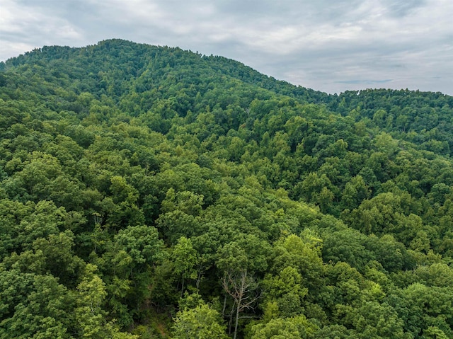 0 Pilot Mountain Holw, Faber, VA 22938