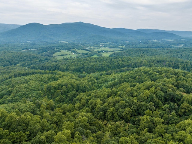 0 Pilot Mountain Holw, Faber, VA 22938