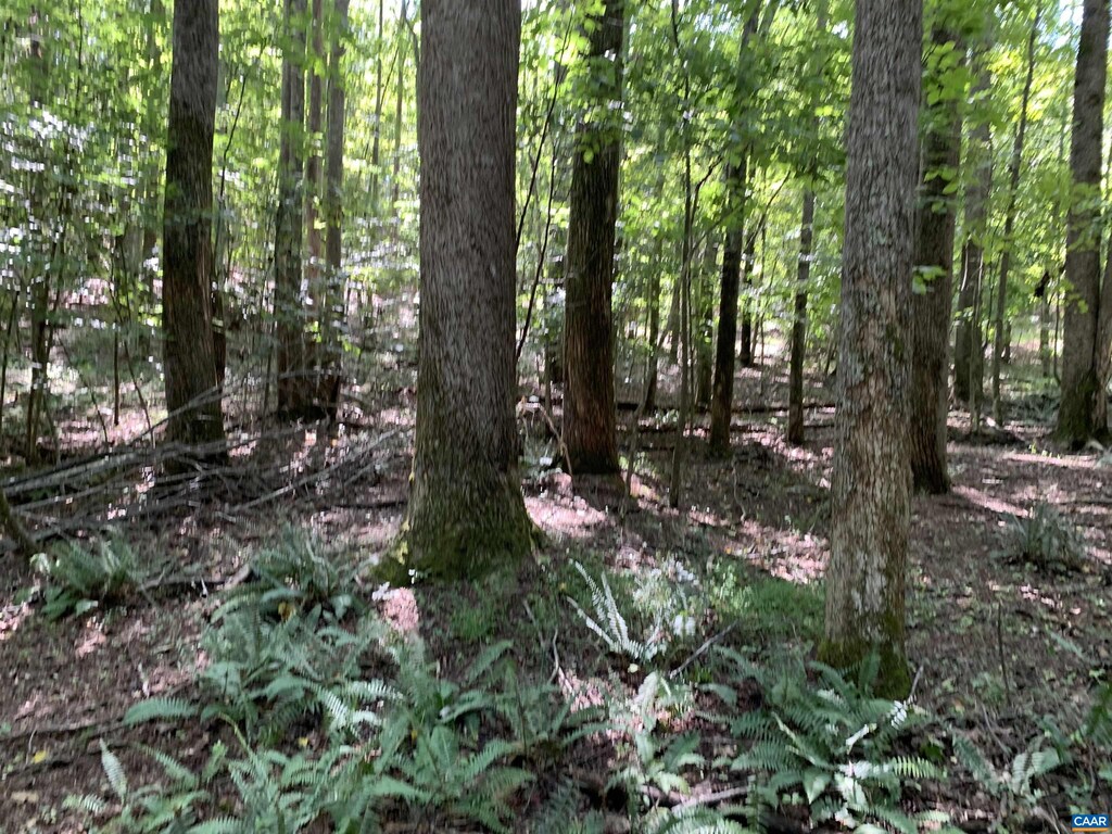LOT1 Green Creek Rd, Va, VA 22969