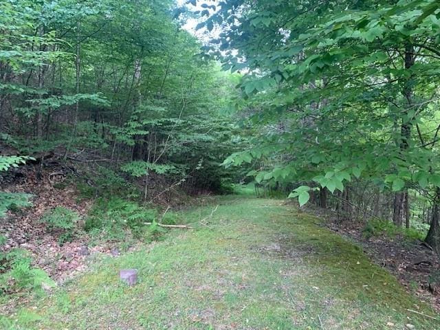3657 Highland Tpke, Monterey, VA 24465 - photo 2