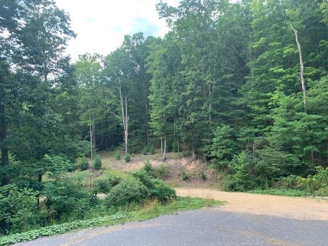 3657 Highland Tpke, Monterey, VA 24465 - photo 3